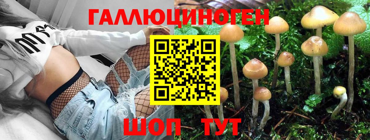Красногорск  Псилоцибиновые грибы Psilocybine cubensis  Псилоцибиновые грибы MAGIC MUSHROOMS  Вход с VPN 